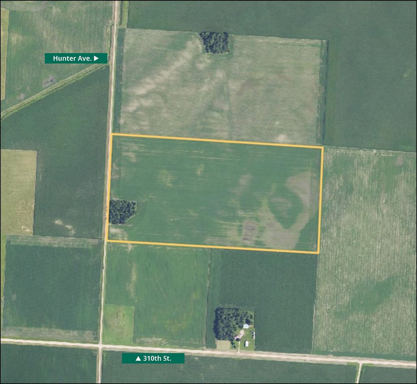 Image for Redwood Co., MN - 80.00 Ac., m/l (190-0355-01)