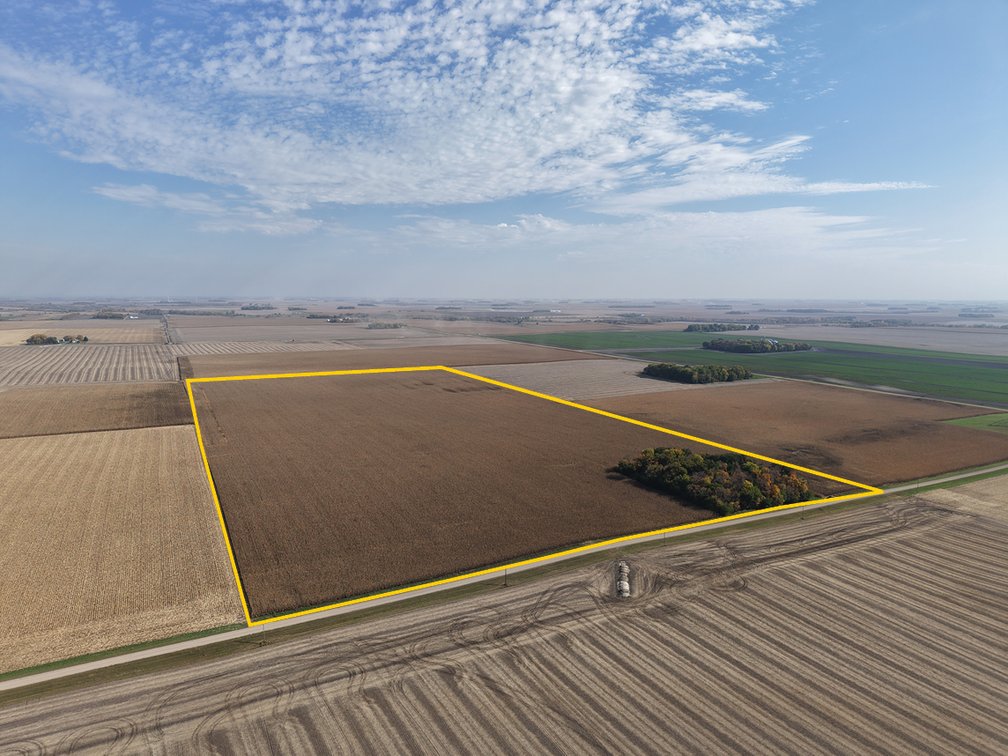 Image for Redwood Co., MN - 80.00 Ac., m/l (190-0355-01)
