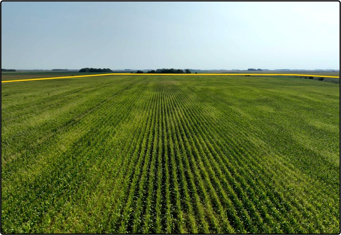 Image for Closed - Redwood Co., MN - 130.27 Ac., m/l (190-0242-01)