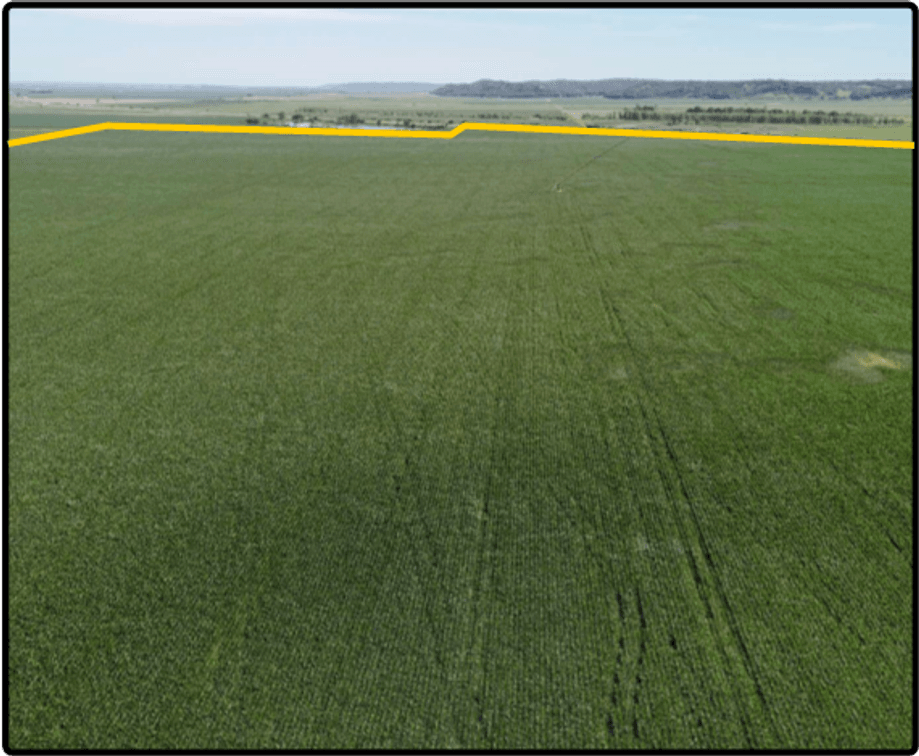 Image for Closed - Fremont Co., IA/Nemaha Co., NE/Atchison Co., MO - 1,526.92 Ac., m/l (090-0232-19)