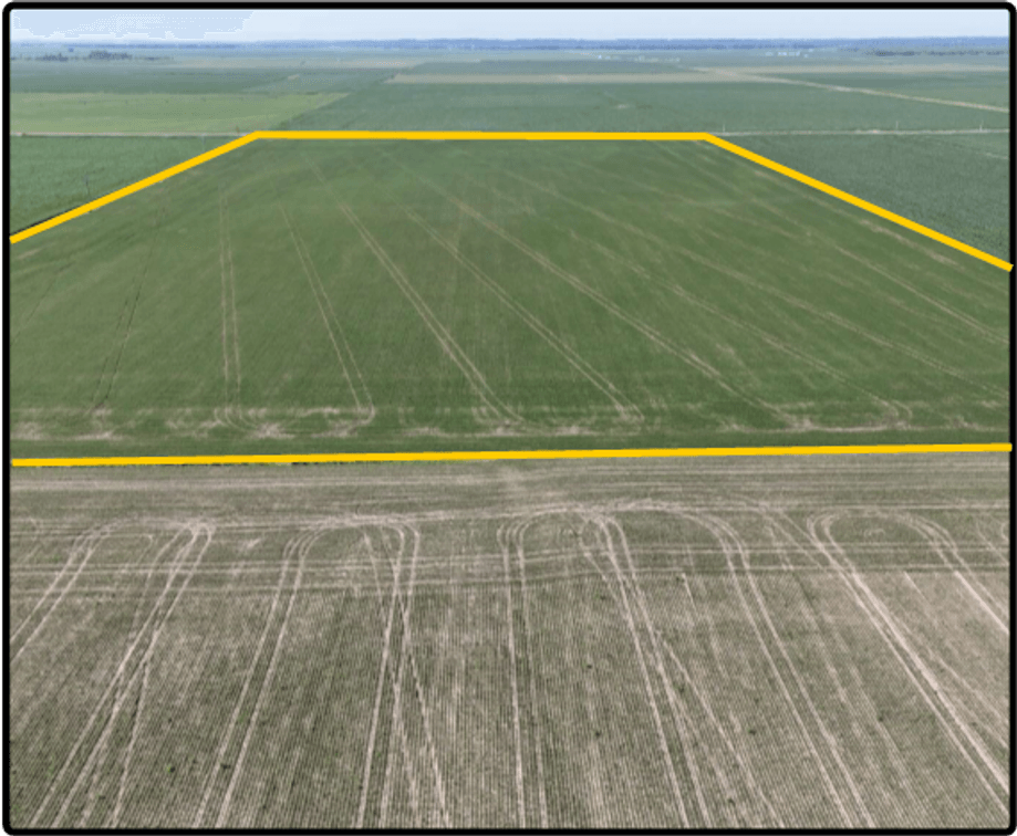 Closed- Parcel 5 - Fremont Co., IA - 77.48 Ac., m/l (090-0232-23)