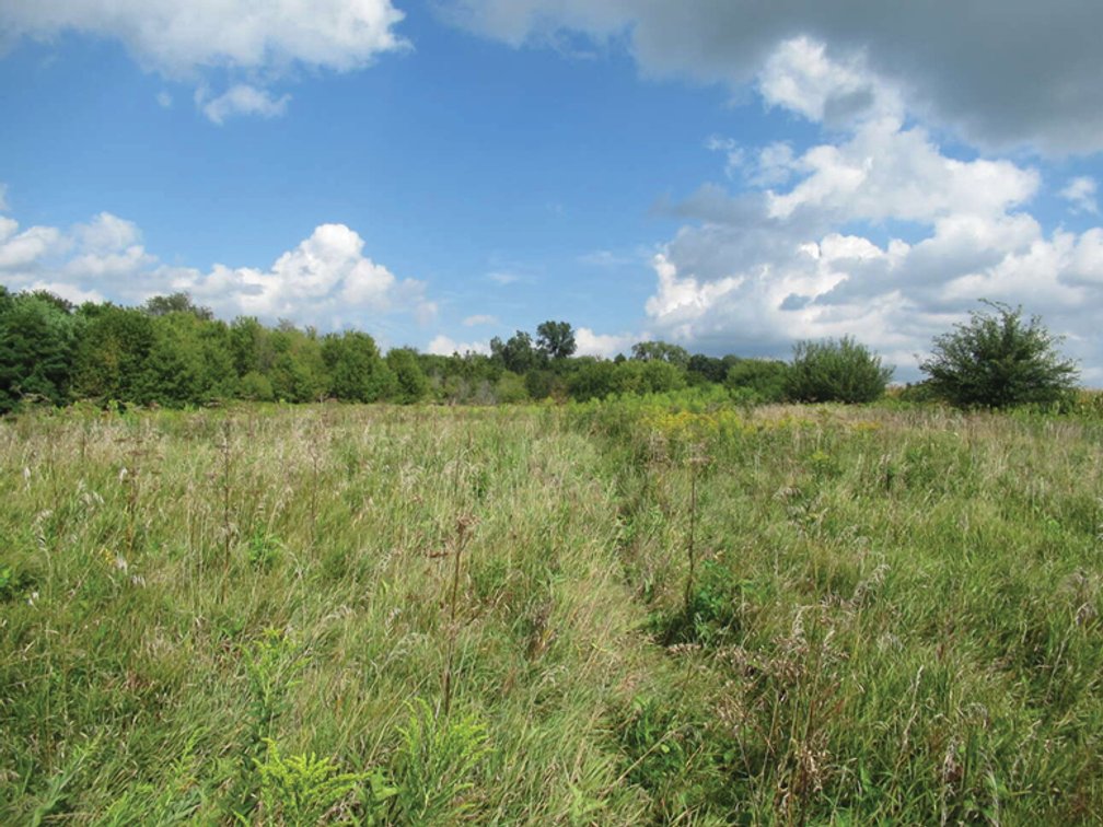 Image for Closed - Jones Co., IA - 120.44 Ac., m/l (010-2907-01)