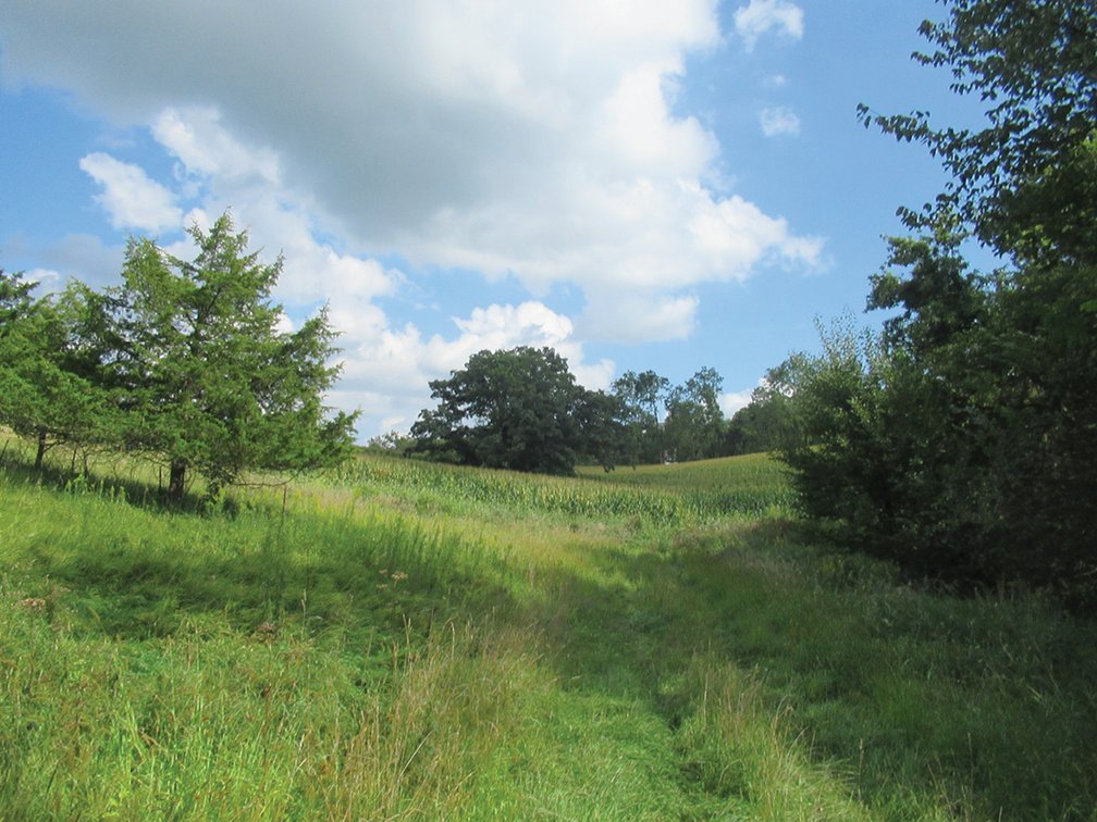 Image for Closed - Jones Co., IA - 120.44 Ac., m/l (010-2907-01)