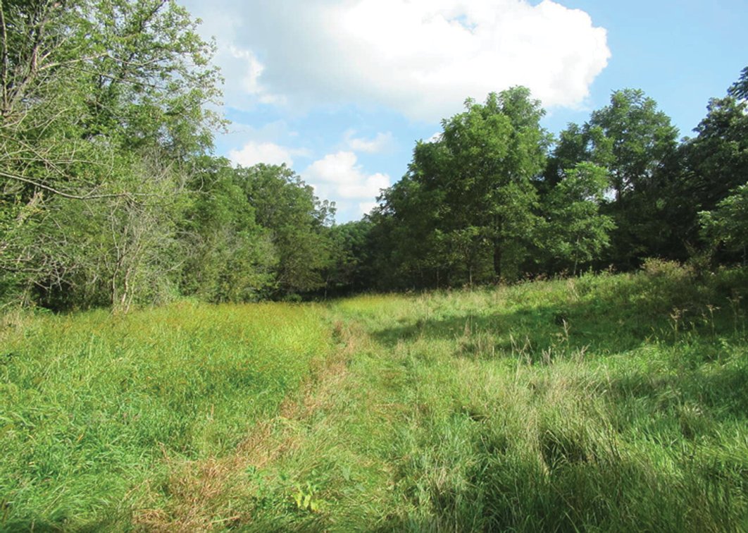 Image for Closed - Jones Co., IA - 120.44 Ac., m/l (010-2907-01)