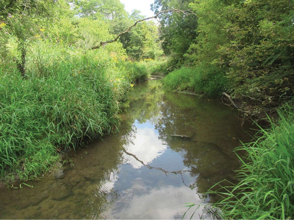 Image for Closed - Jones Co., IA - 120.44 Ac., m/l (010-2907-01)