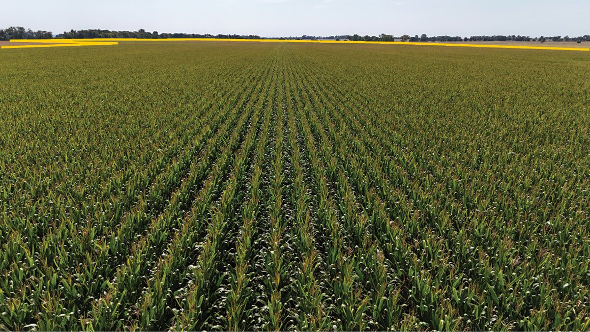 Image for Closed - Ogle Co., IL - 64.75 Ac., m/l (070-0099-01)