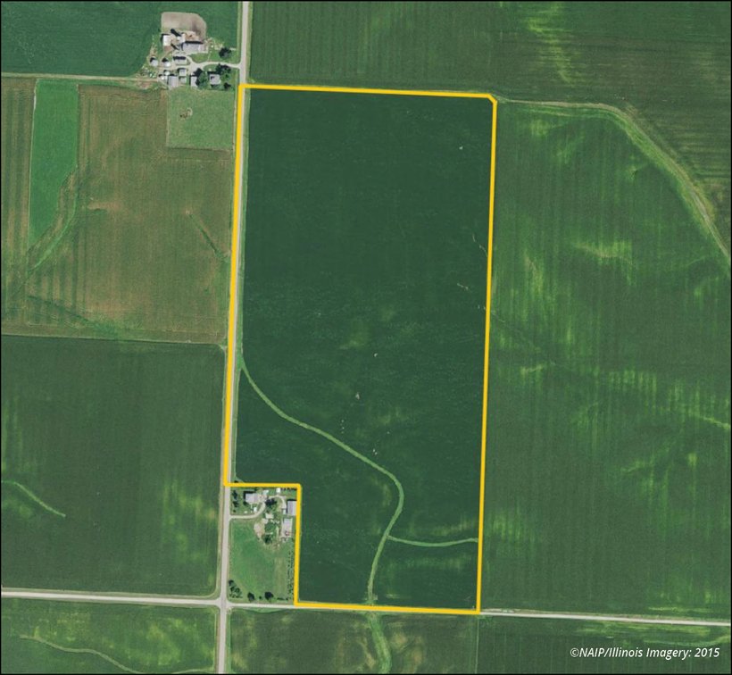 Image for Closed - Whiteside Co., IL - 74.36 Ac., m/l (100-0221-01)