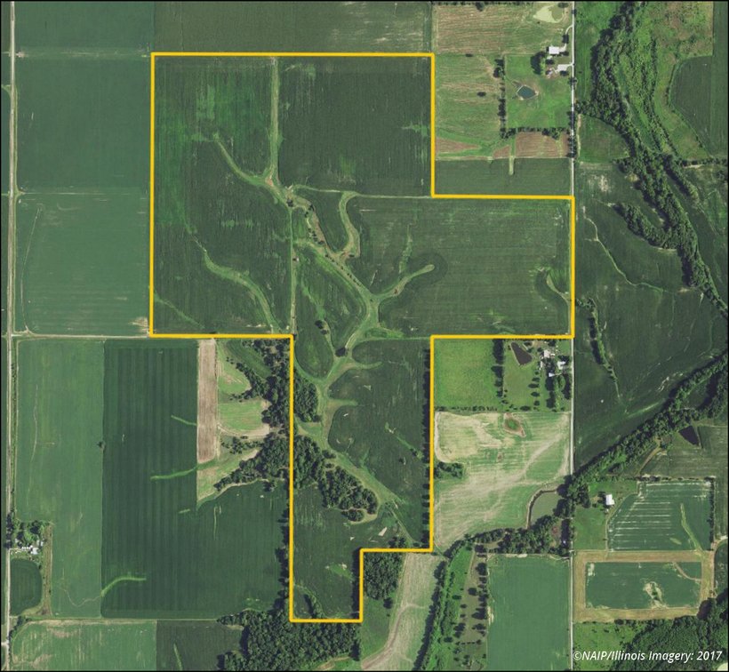 Image for Sale Pending - Macoupin Co., IL - 270.00 Ac., m/l (030-0500-01)