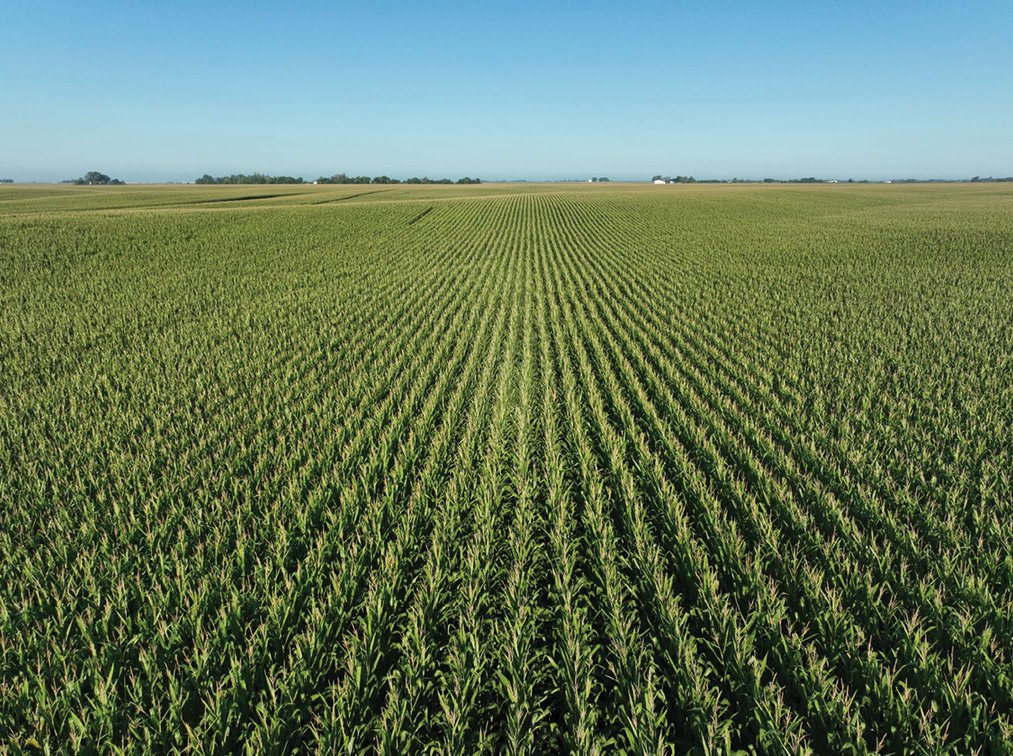 Image for Closed - Keokuk Co., IA - 78.94 Ac., ml/ (180-0221-02)