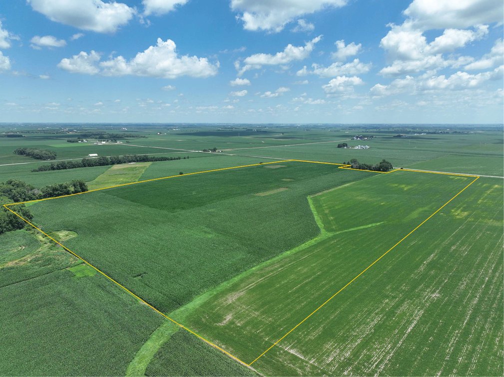 Image for Closed - Buchanan Co., IA - 95.60 Ac., m/l (010-3101-01)
