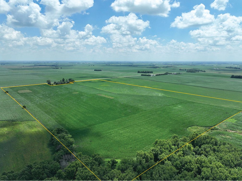 Image for Closed - Buchanan Co., IA - 95.60 Ac., m/l (010-3101-01)