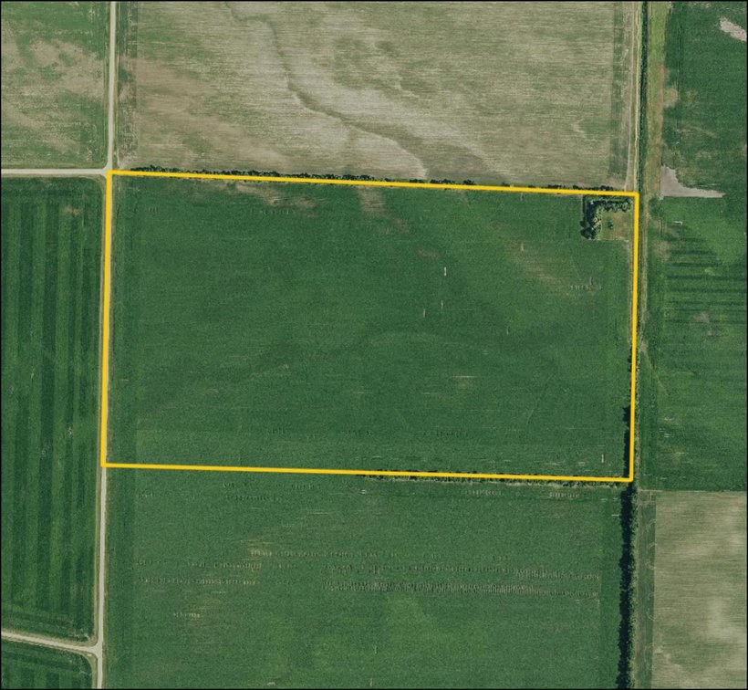 Image for Closed - Redwood Co., MN - 77.02 Ac., ml/ (190-0302-01)