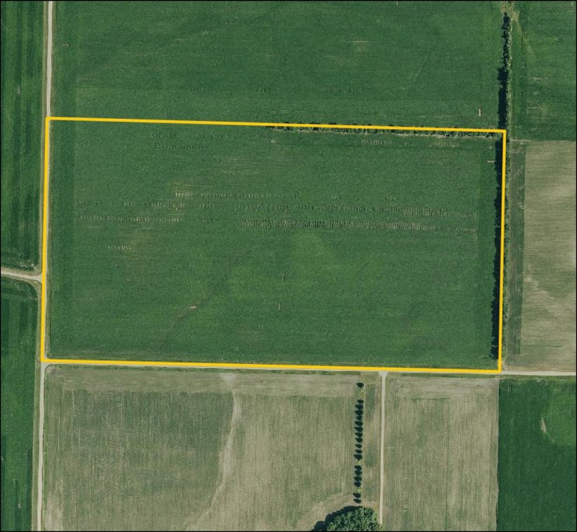 Image for Closed - Redwood Co., MN - 77.01 Ac., m/l (190-0302-02)