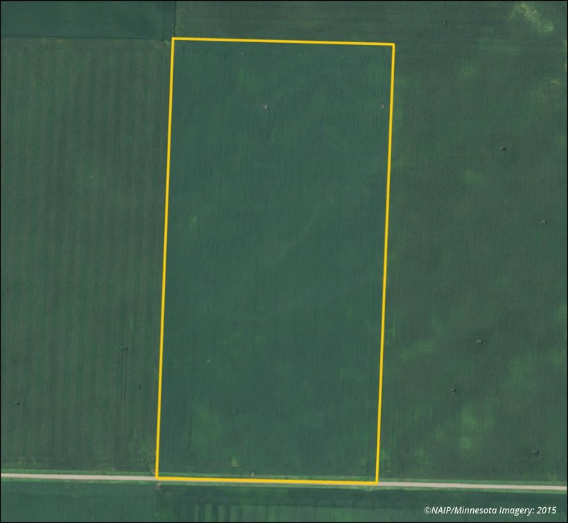 Image for Closed - Redwood Co., MN - 80.15 Ac., m/l (190-0291-01)