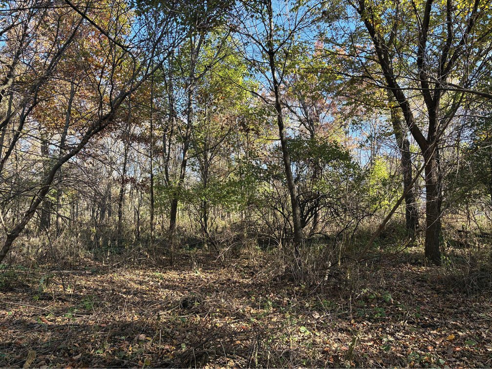 Image for Closed - Winneshiek Co., IA - 20.00 Ac., m/l (020-0583-01)