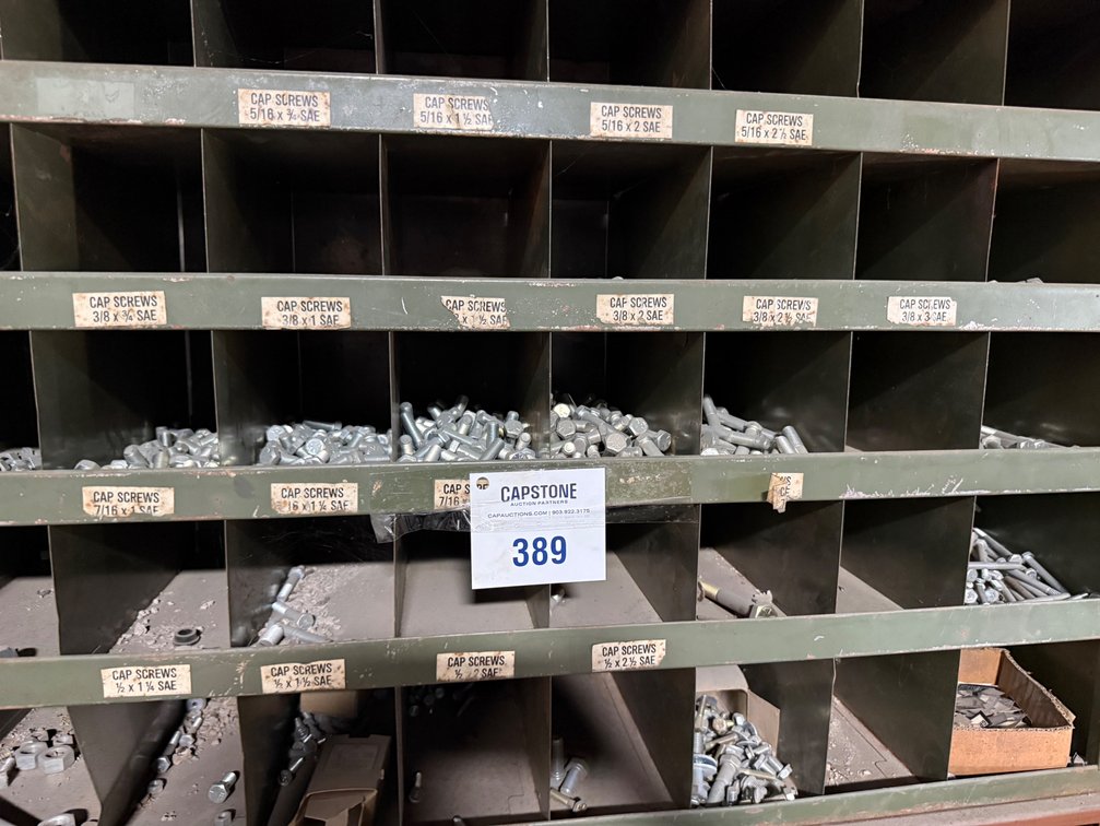 Assorted Cap Screws, Bolts & Fasteners w/ Parts Organizer