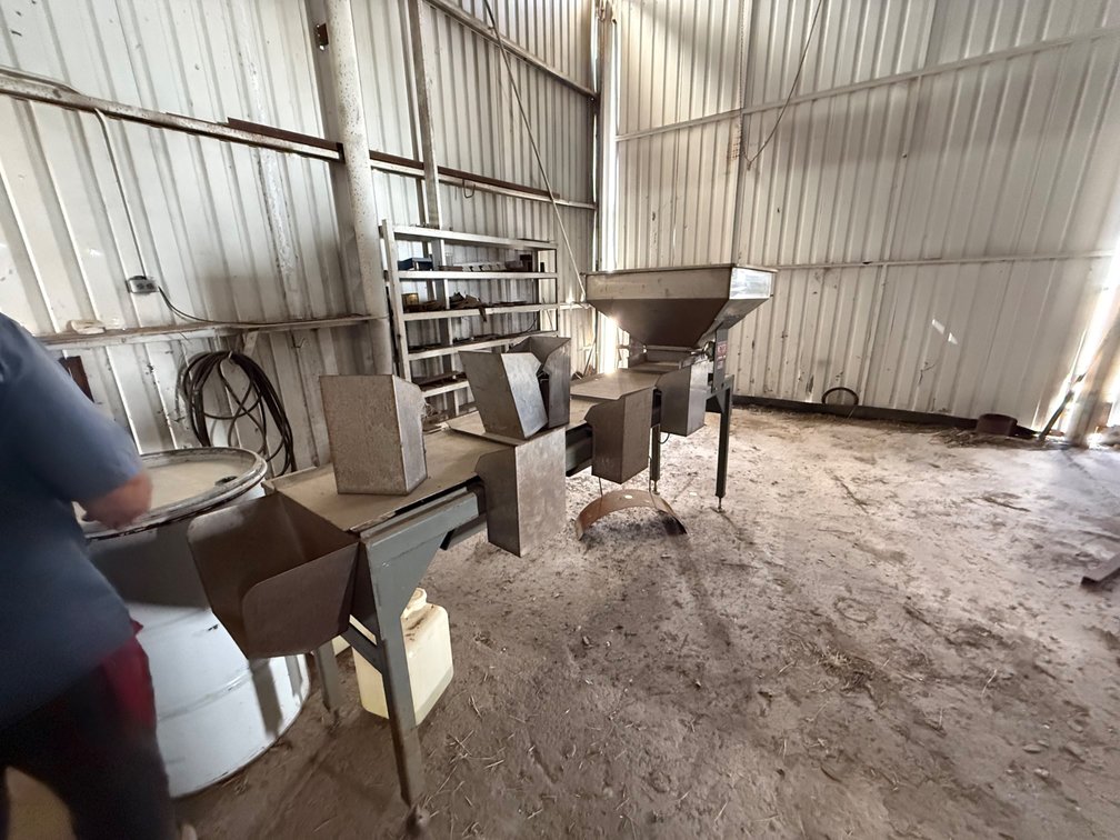 Meyer Pecan Processing Hopper with Conveyor