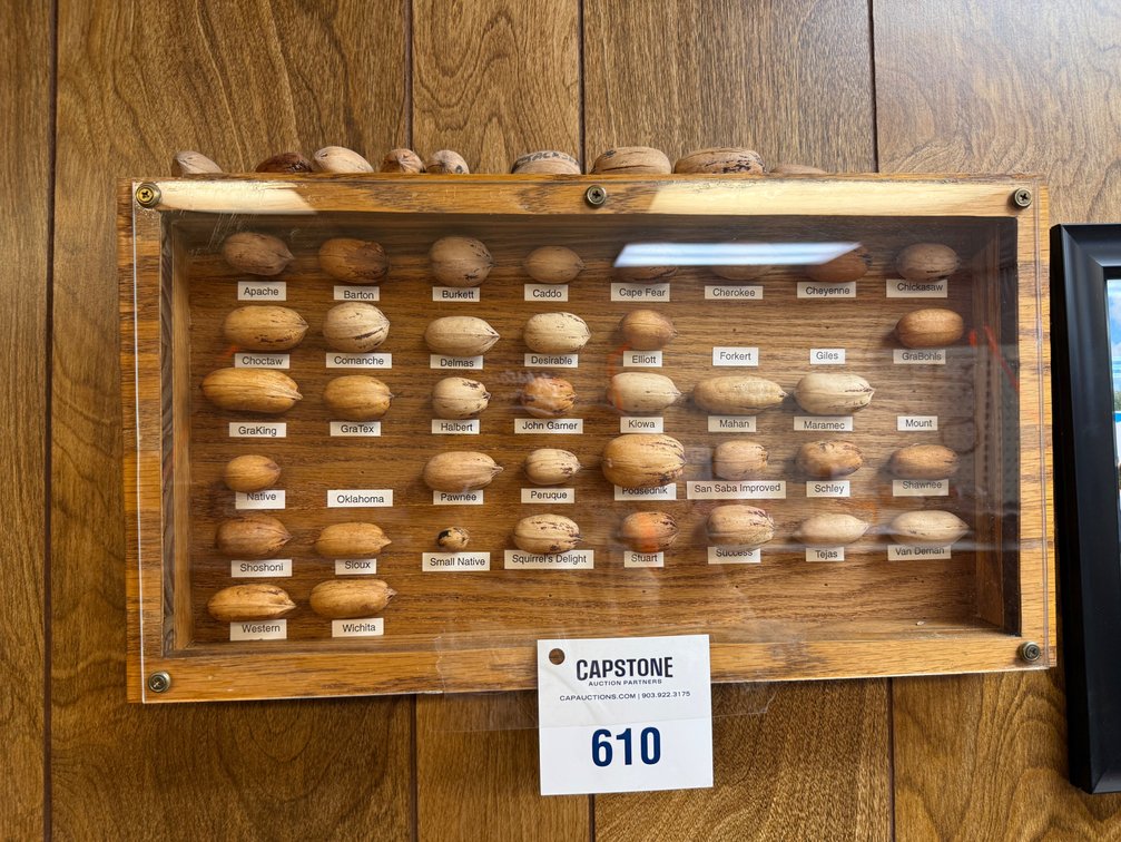 Framed Kinds of Pecans & Pecan Decorations