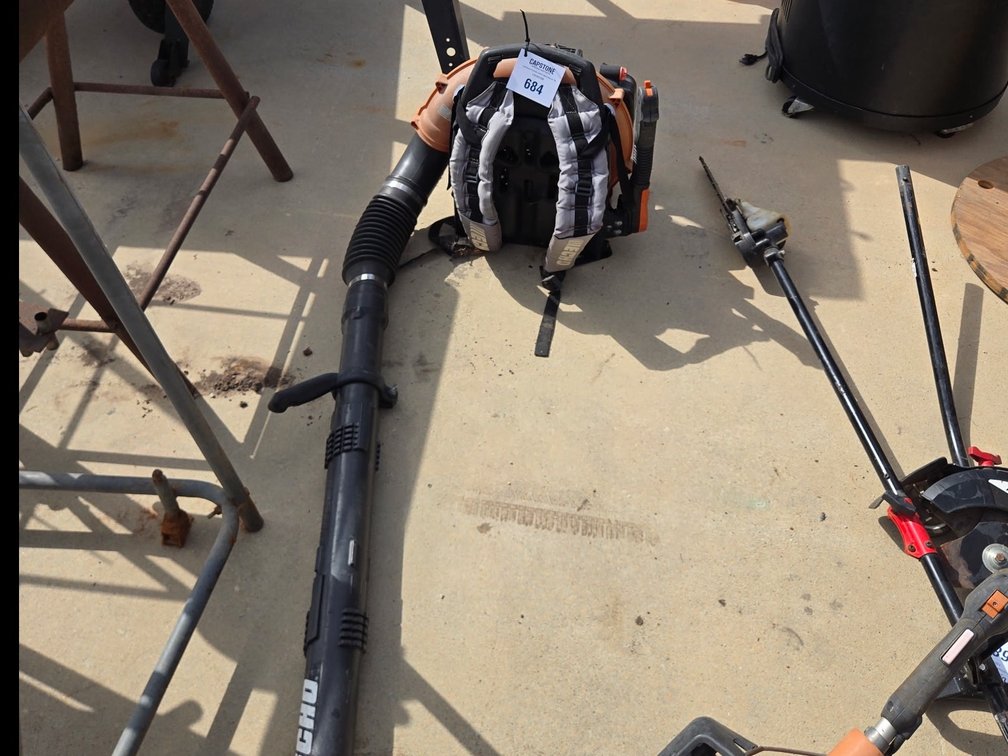Echo Gas Blower