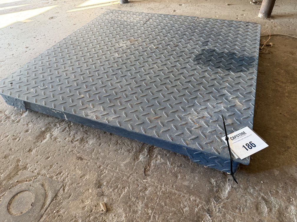 Heavy Duty Industrial Steel Floor Scale with Digital Indicator