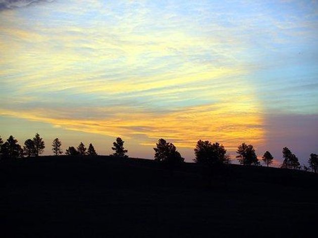 Image for Lots 99 thru 138 at Bison, SD  -- NO RESERVE!