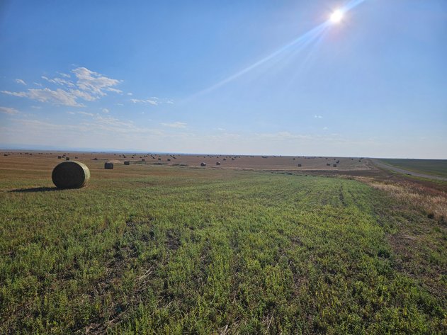 Image for Fall Farmland Newell - Sept 15th