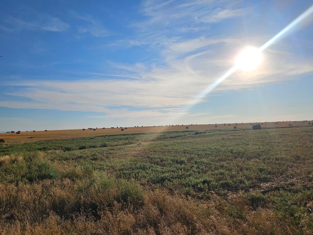 Image for Fall Farmland Newell - Sept 15th