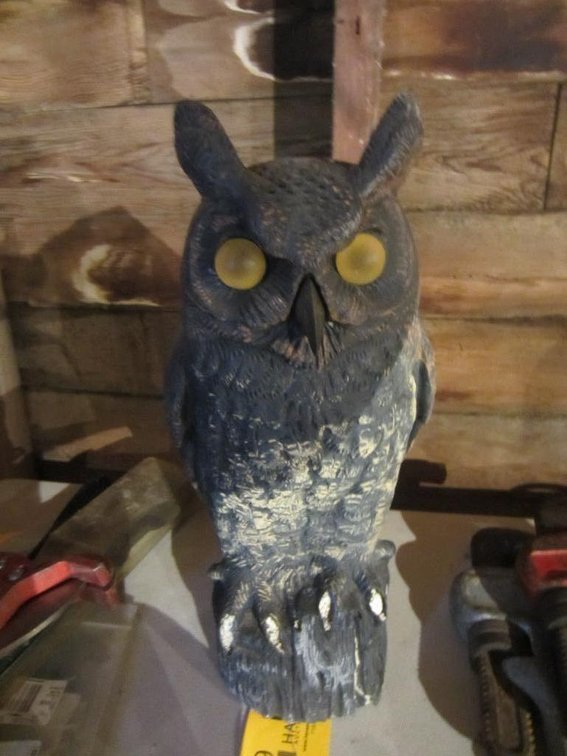 Wooden Owl Decoration
