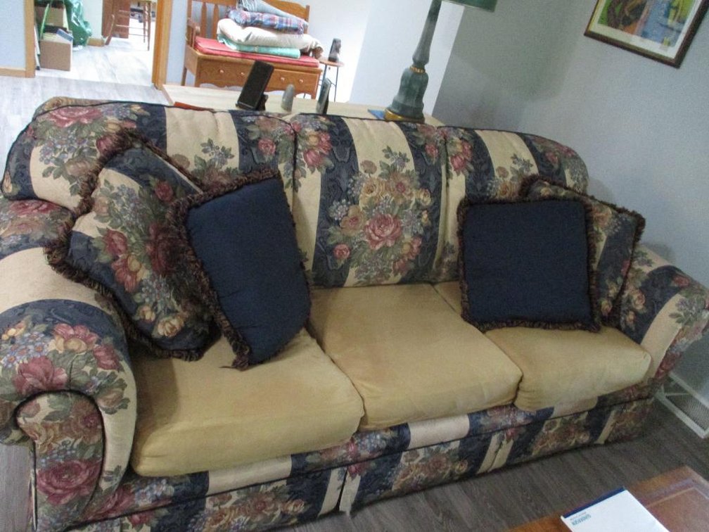 Hide-a-Bed Couch