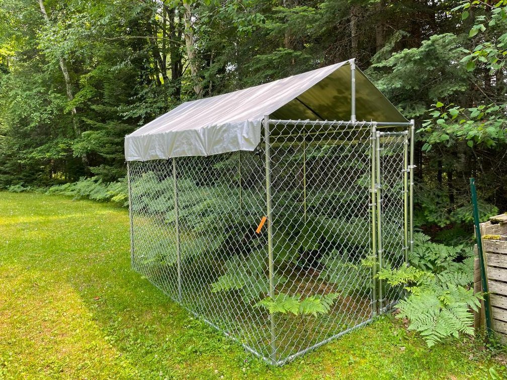 Chain Link Dog Kennel