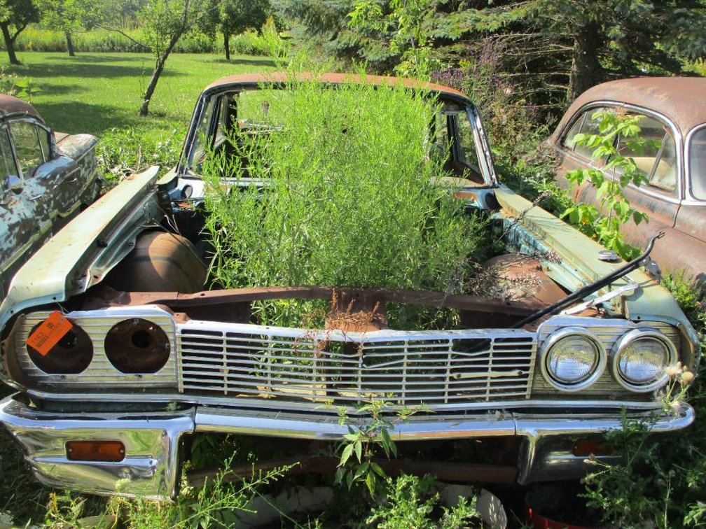 1964 Chevy Biscayne (No Title Parts Only)