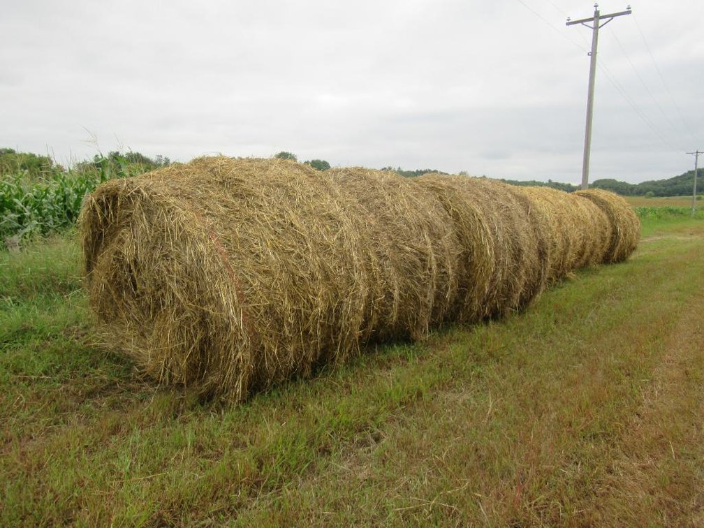 (8) 5 x 6 Round Bales, (Colfax WI)