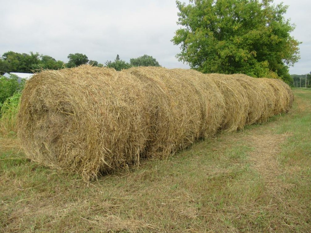 (8) 5 x 6 Round Bales, (Colfax WI)