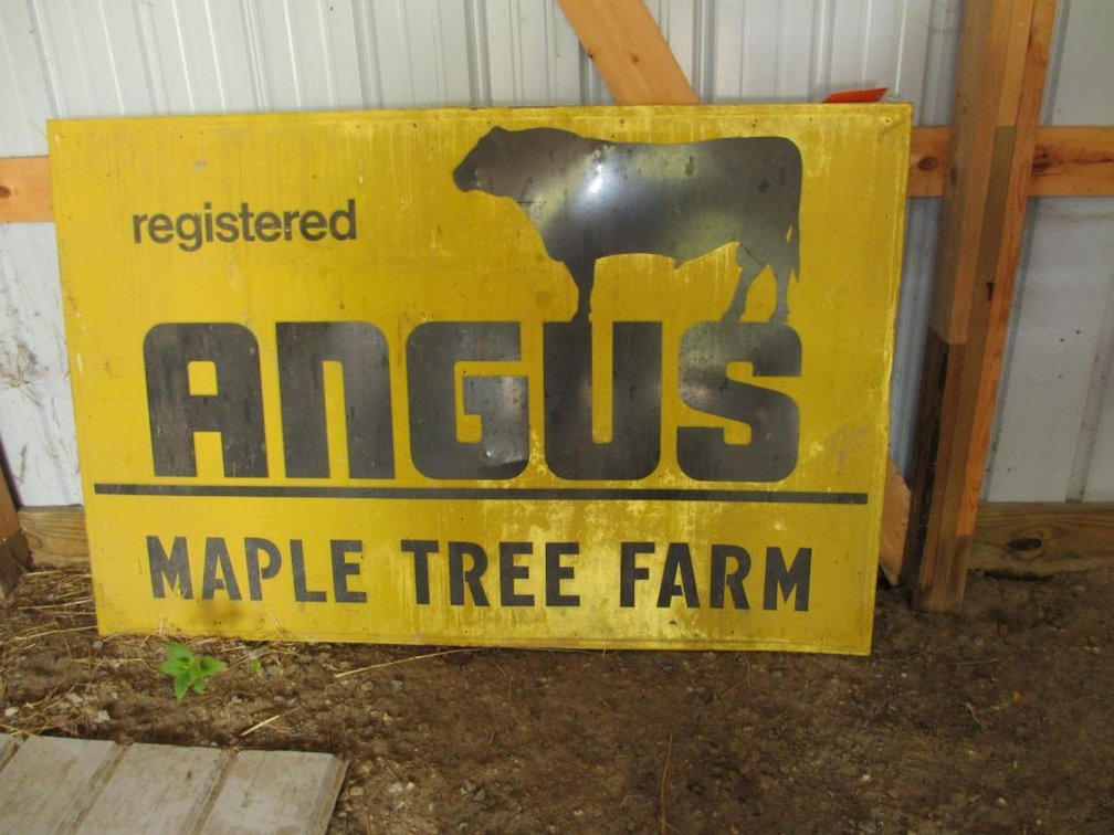 Registered Angus Metal Sign