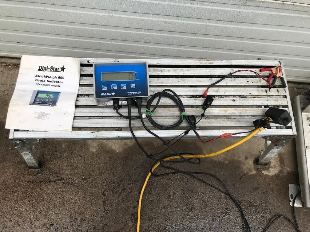 Digistar Electronic Aluminum Platform Scale