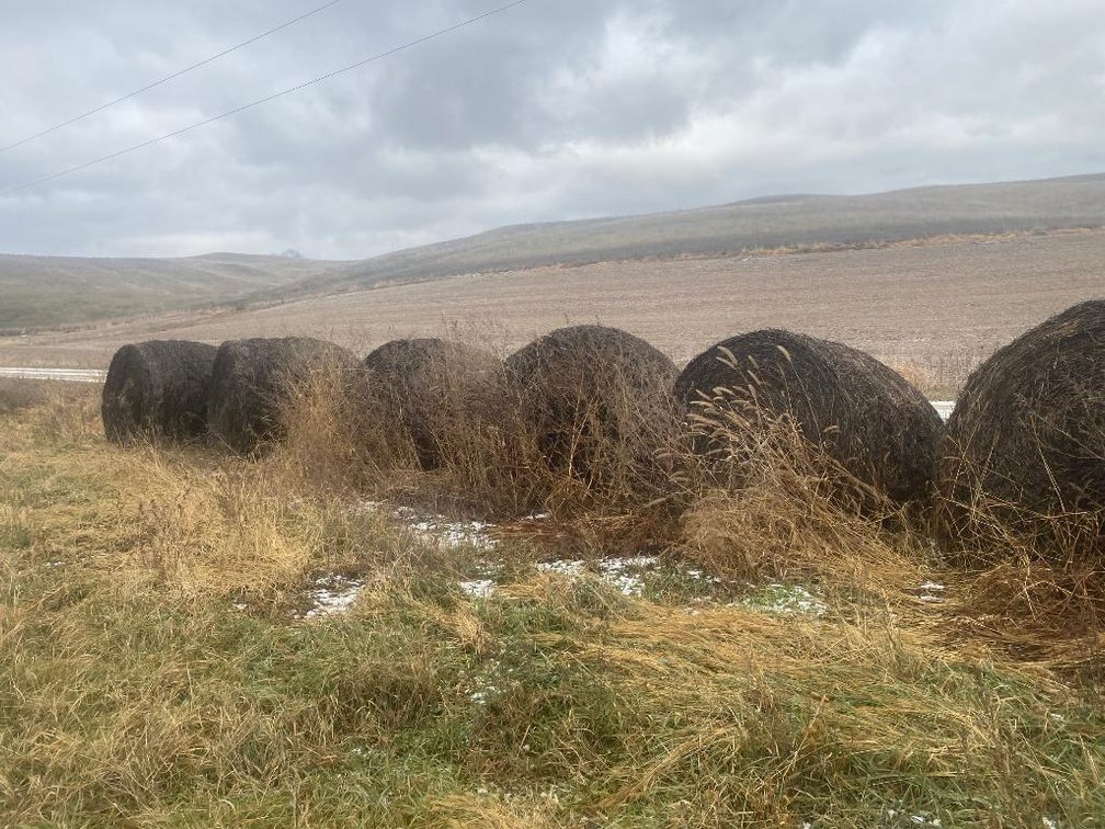 (27) Round Bales