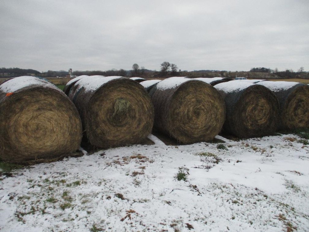 (10) Round Hay Bales