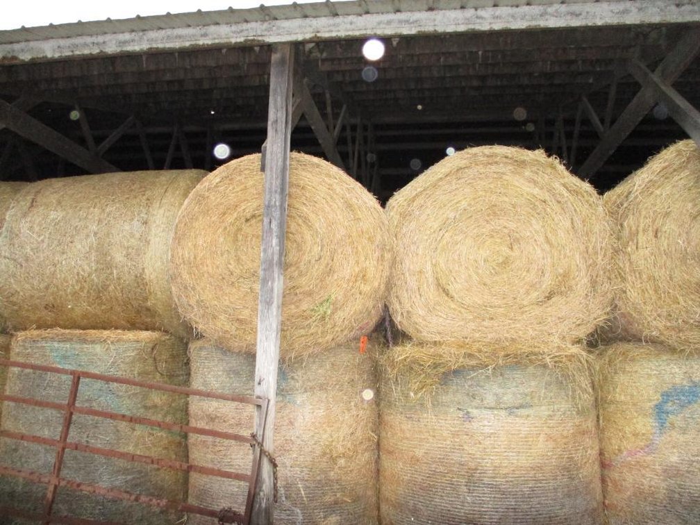 (10) Round Hay Bales