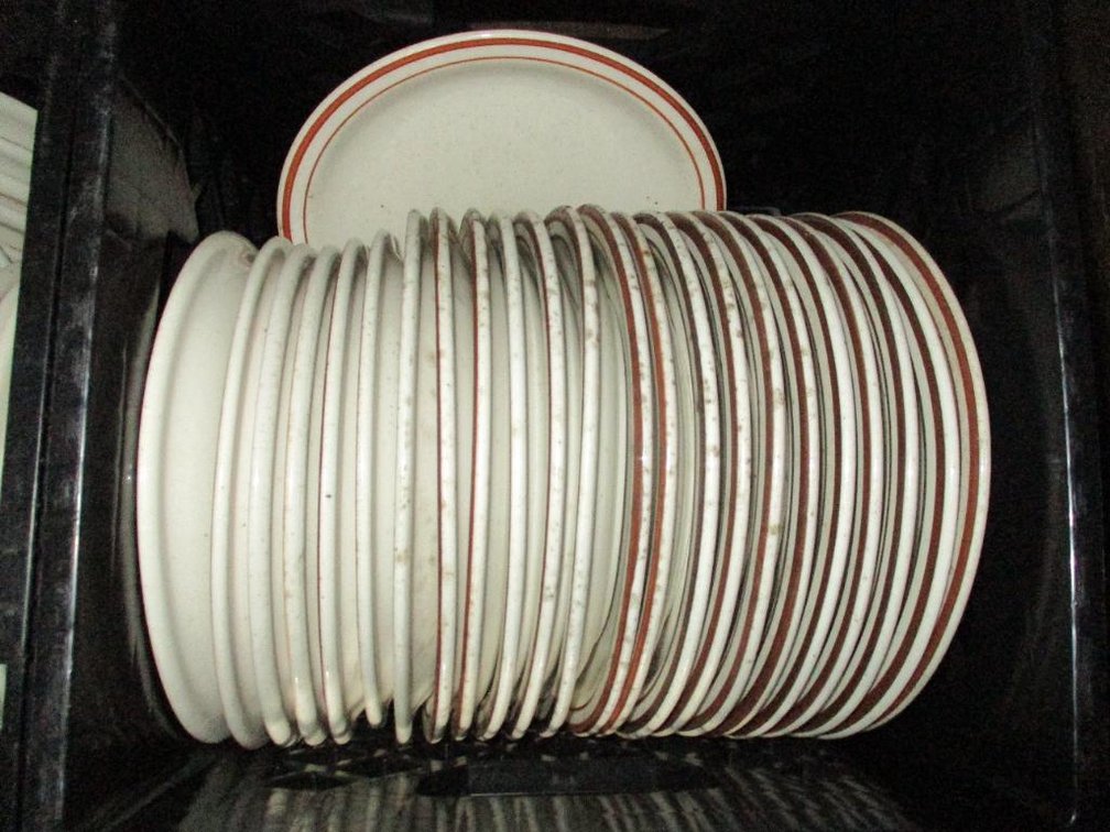 Ultima China 9" Plates