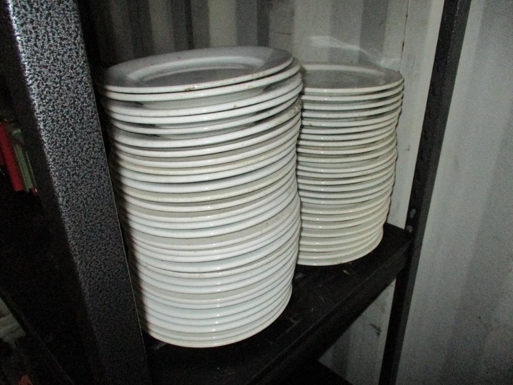 Various Brands 9-1/2" Restaurant Plates
