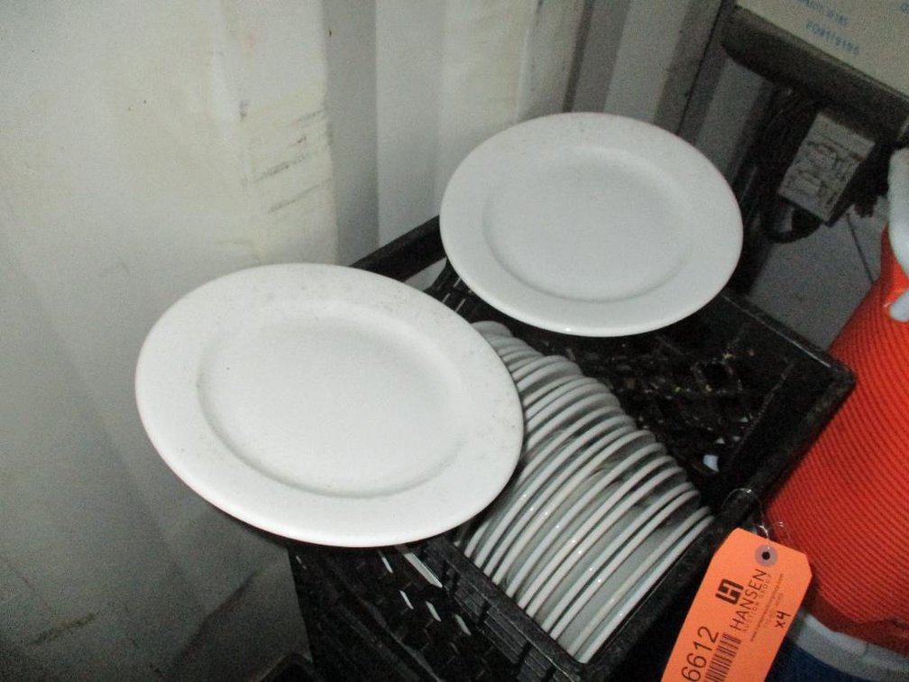 9-1/2" Dinner Plates