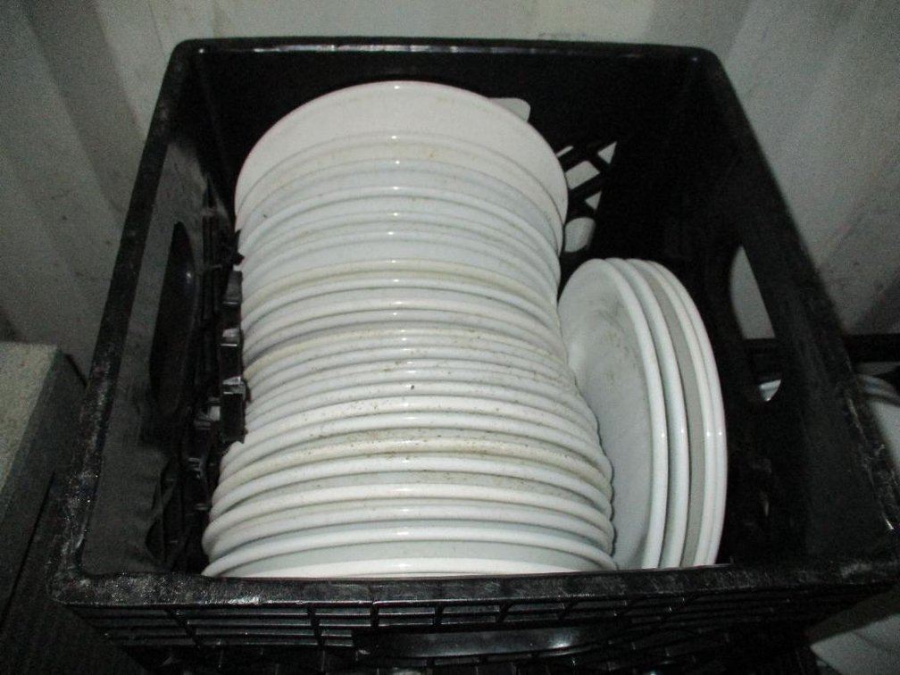 Approx. (84) 9-1/2" Dinner Plates