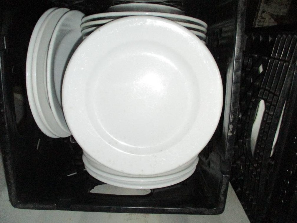 9-1/2" Dinner Plates and 12" Platters