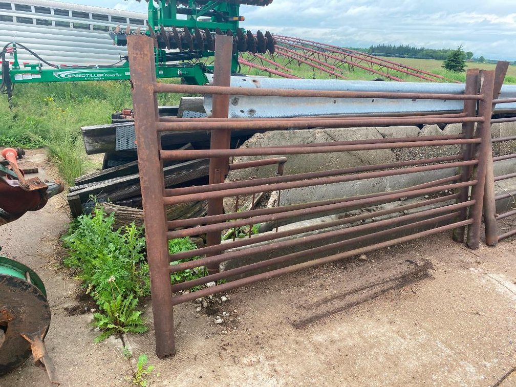 (2) Heavy Duty Steel Cattle Panels