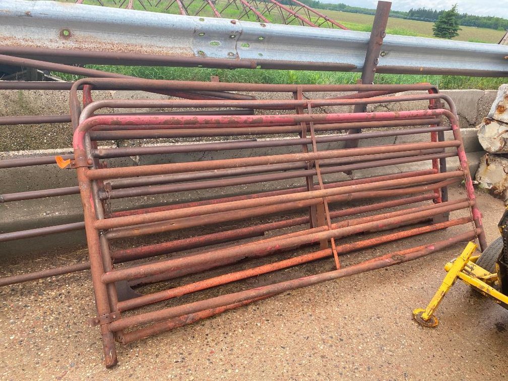 (4) Used Steel Cattle Gates