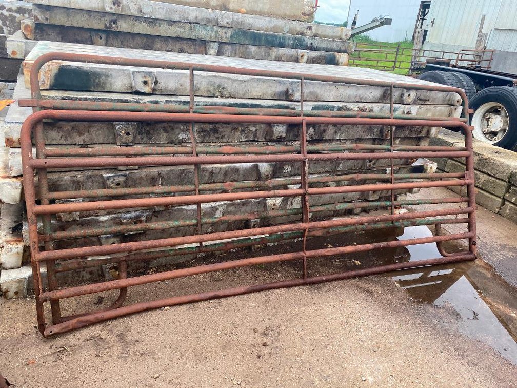 (2) Used Steel Cattle Gates