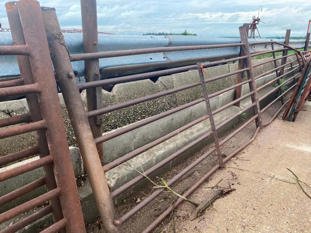 Large Heavy Duty Steel Cattle Panel