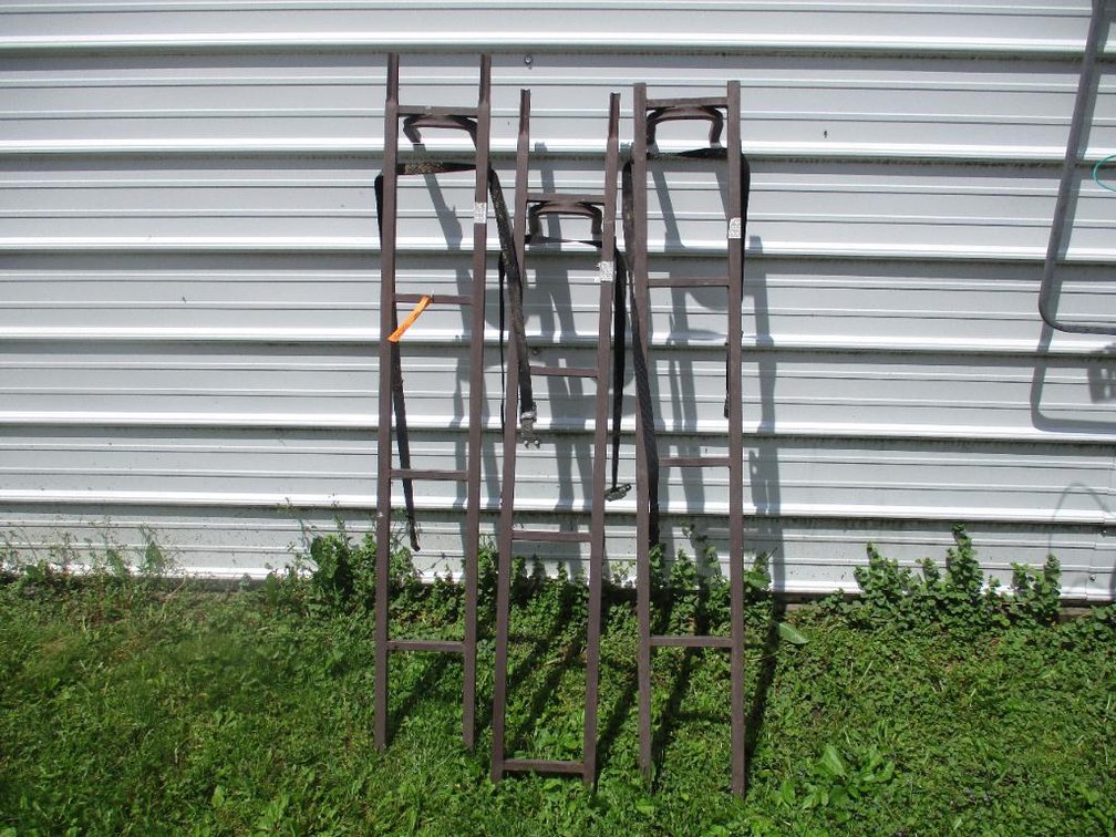Climbing Sticks