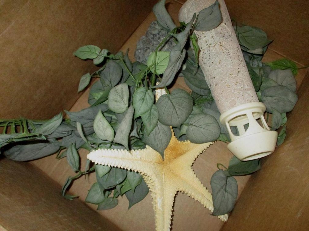 Assorted Decorations