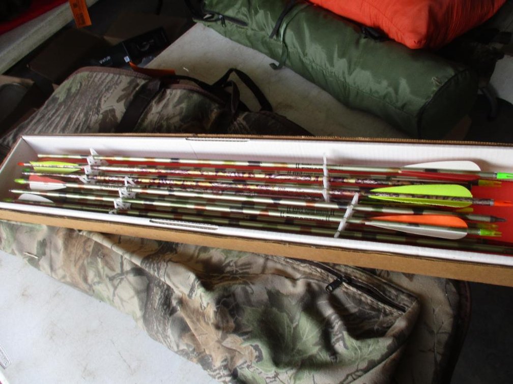 Hoyt Compound Bow